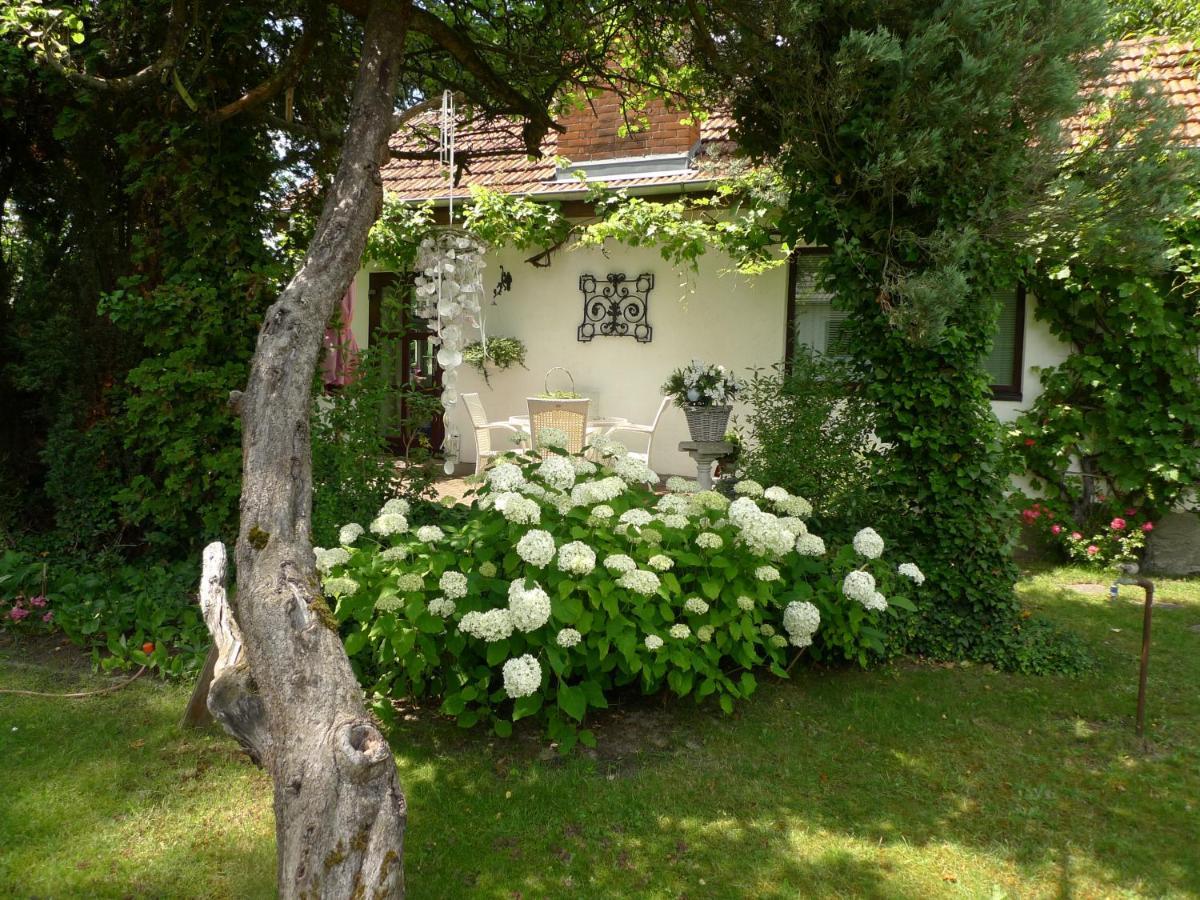 Gemuetliches Gaestehaus Berlin Bohnsdorf, Naehe Flughafen Schoenefeld Dış mekan fotoğraf