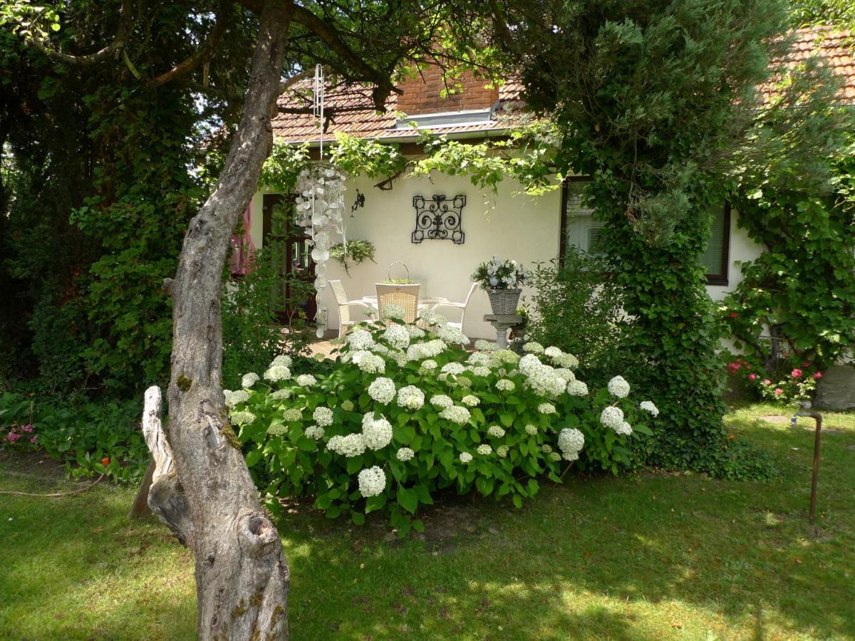 Gemuetliches Gaestehaus Berlin Bohnsdorf, Naehe Flughafen Schoenefeld Villa Dış mekan fotoğraf